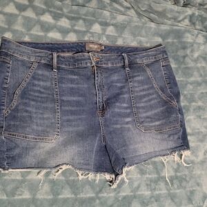Torrid Distressed Blue Jean Shorts